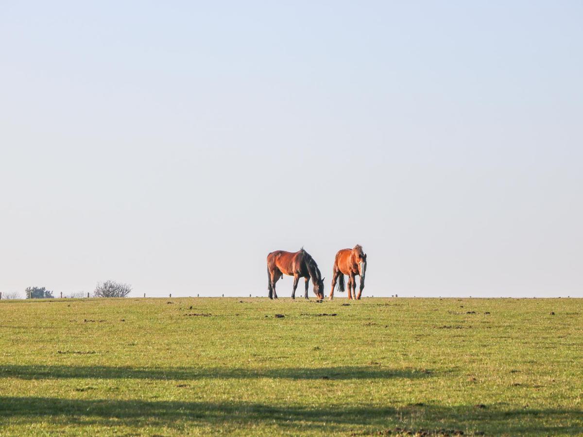 Вілла The Byre Тірск Екстер'єр фото