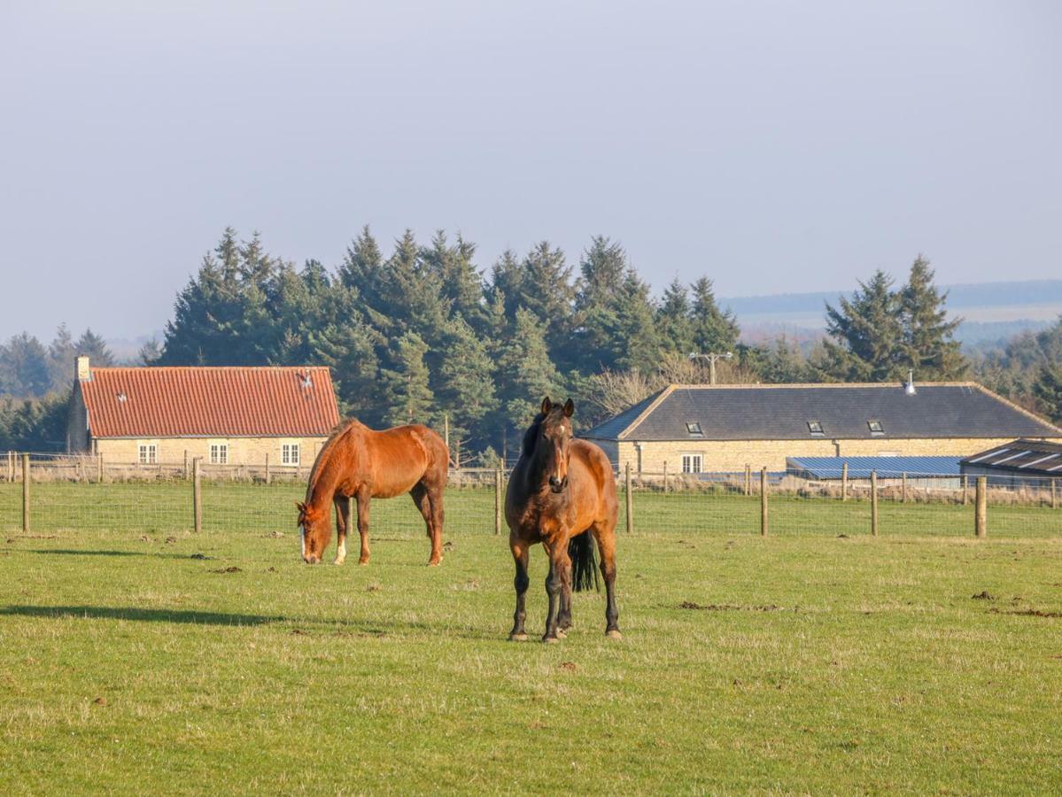Вілла The Byre Тірск Екстер'єр фото
